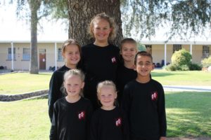 GOUDVELD KUNSTEFEES SENTRALE VOLKSKOOL