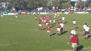 Paul Roos
