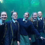 HS Strand se Gr. 11 LW-leerders besoek Two Oceans Akwarium en Kaapstad Museum