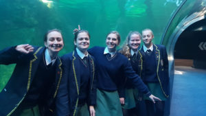 HS Strand se Gr. 11 LW-leerders besoek Two Oceans Akwarium en Kaapstad Museum