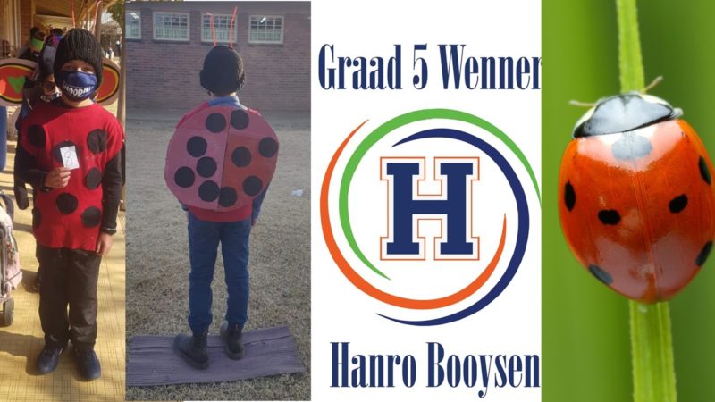 Hoërskool Hoopstad Skool Graad 5’s leer van insekte