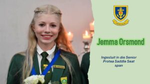 Senior Protea Saddle Seat - Hoërskool Witteberg