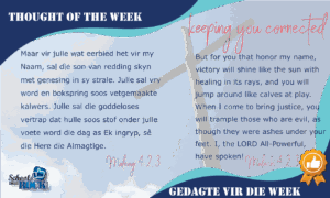 Gedagte vir die Week - Thought of the week 15