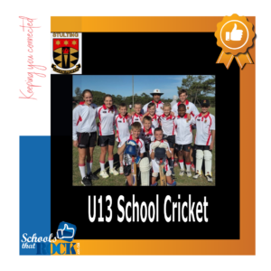U13 School Cricket - Stulting Primary School outstanding