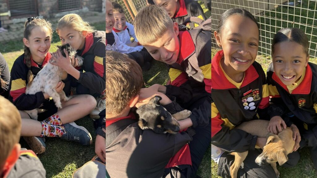 Graad 5's besoek DBV - Laerskool Stulting