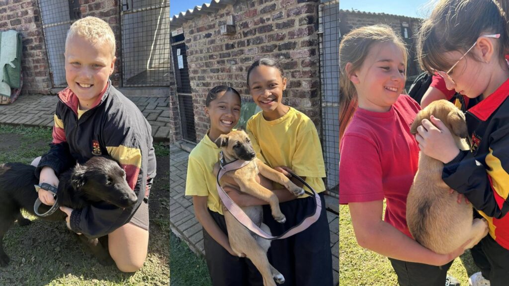 Graad 5's besoek DBV - Laerskool Stulting