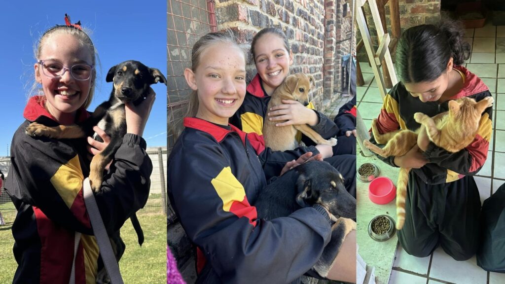 Graad 5's besoek DBV - Laerskool Stulting